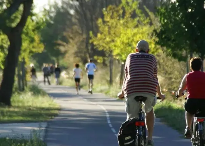 De Standing Climatise Dans Securisee * Villeneuve-lès-Avignon